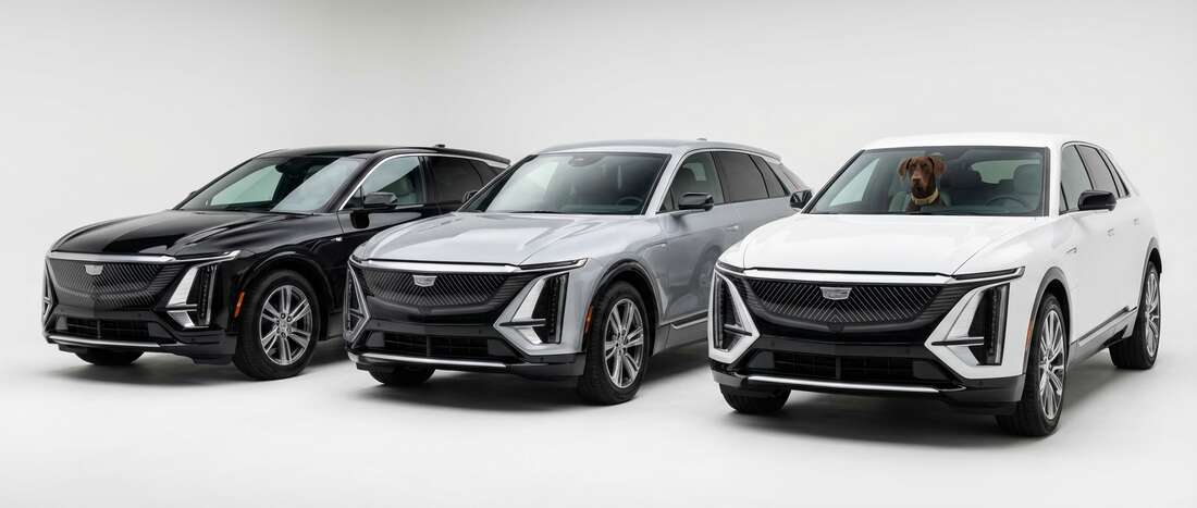 Cadillac Optiq Touch Up Paint