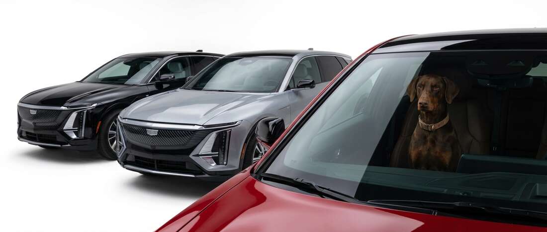 Cadillac Vistiq Touch Up Paint