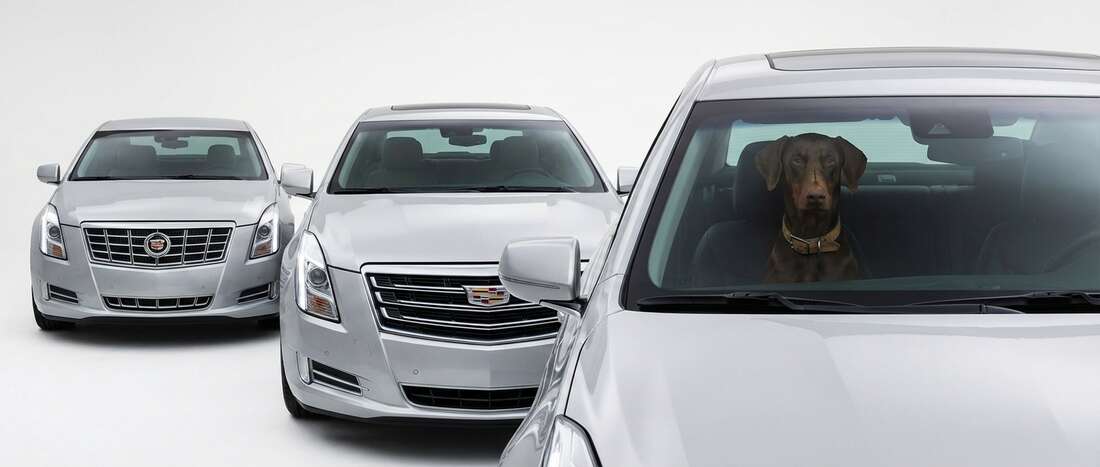 Cadillac XTS Touch Up Paint