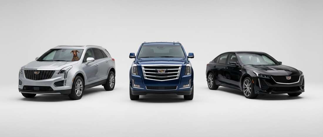 Cadillac Touch Up Paint