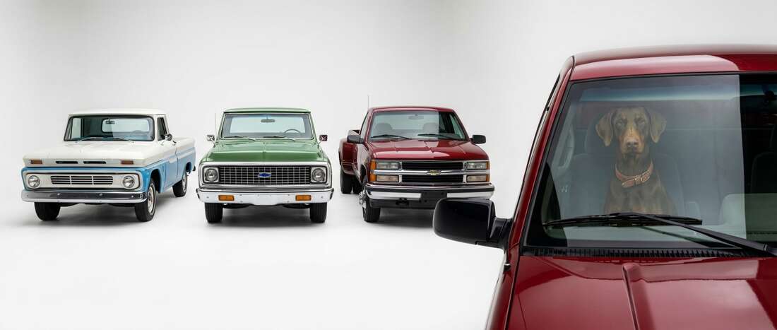 Chevrolet C10-C30 Series Touch Up Paint