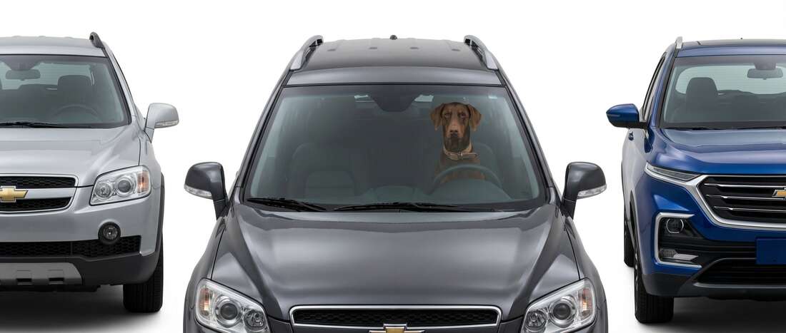 Chevrolet Captiva Touch Up Paint