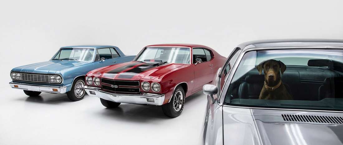 Chevrolet Chevelle Touch Up Paint