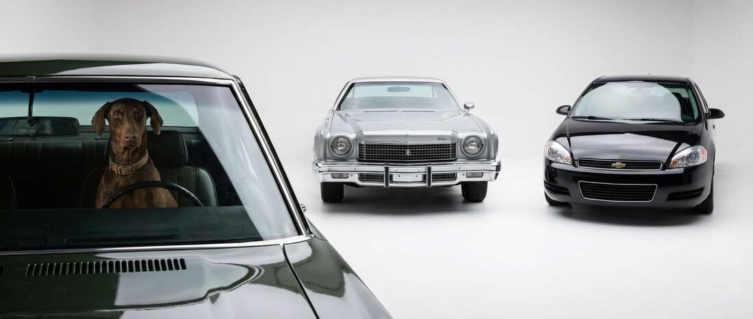 Chevrolet Monte Carlo Touch Up Paint