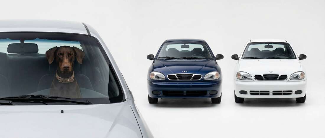 Daewoo Lanos Touch Up Paint