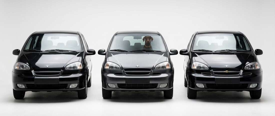 Daewoo Tacuma Touch Up Paint