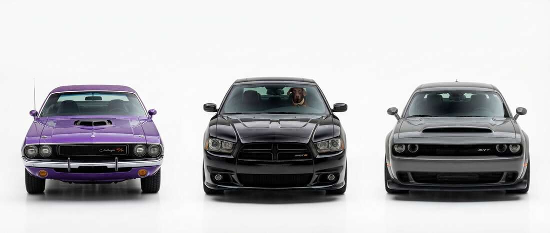 Dodge All Models Touch Up Paint