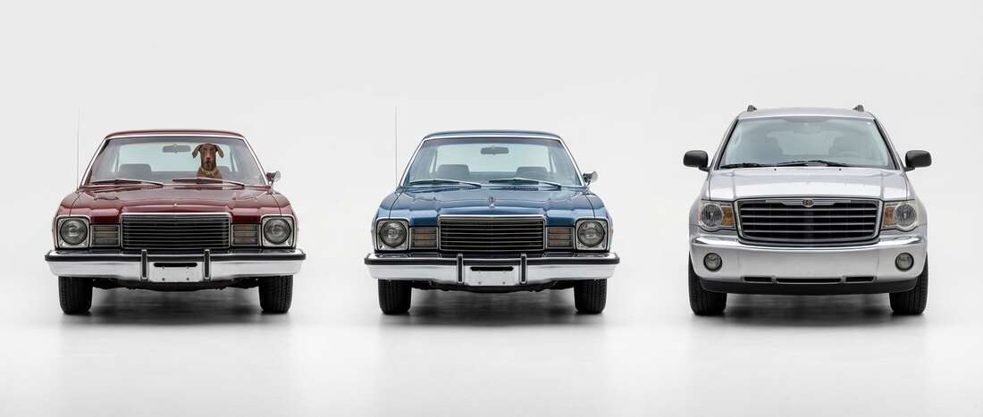 Dodge Aspen Touch Up Paint