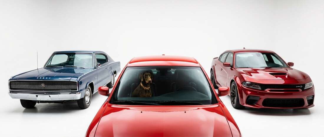 Dodge Charger Touch Up Paint