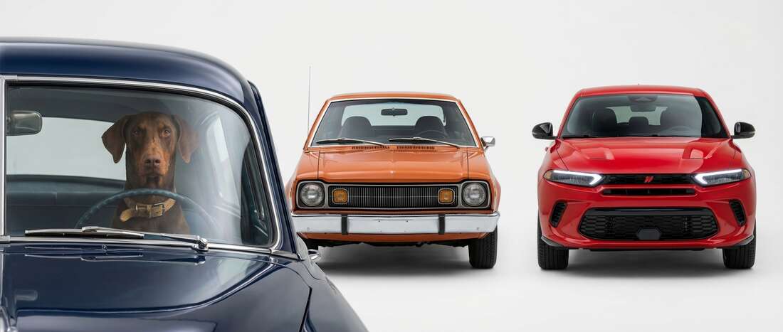 Dodge Hornet Touch Up Paint