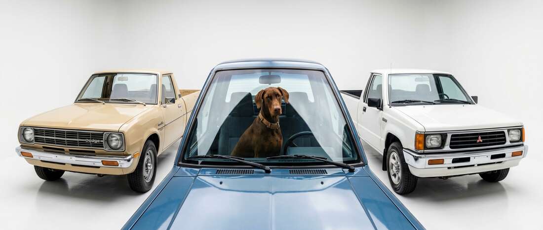 Dodge Import Truck Touch Up Paint