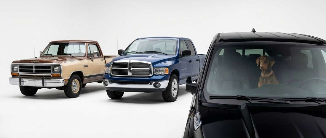 Dodge Light Pick-up Touch Up Paint