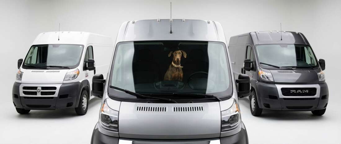 Dodge ProMaster Touch Up Paint