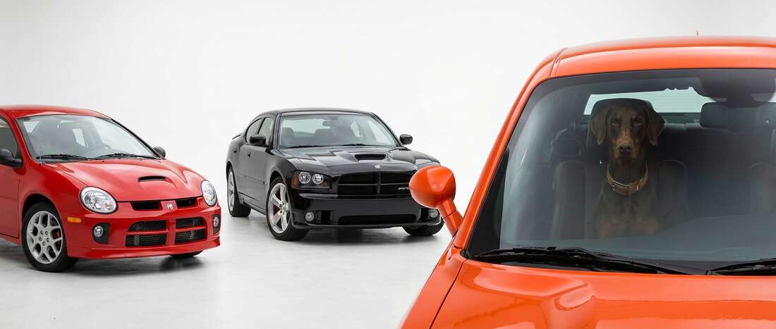 Dodge SRT Touch Up Paint