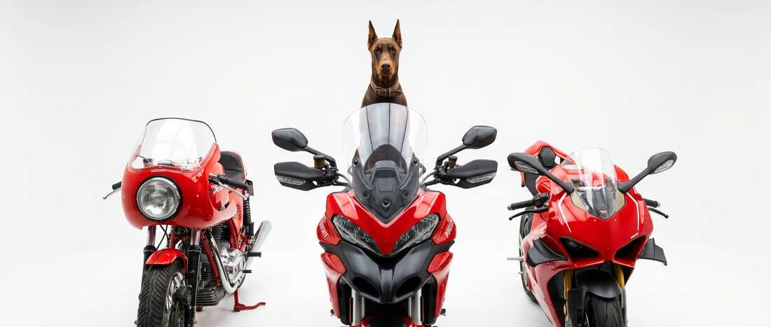 Ducati All Models Touch Up Paint