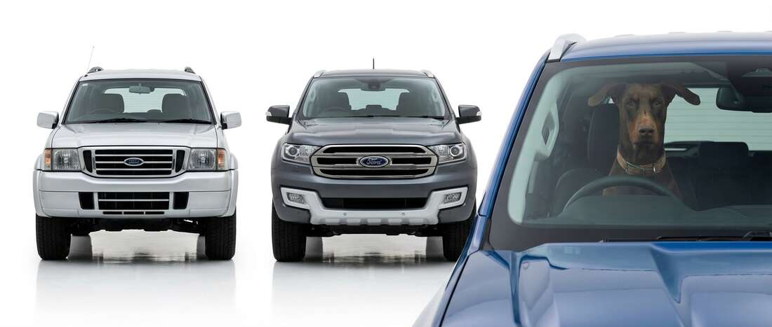 Ford Everest Touch Up Paint
