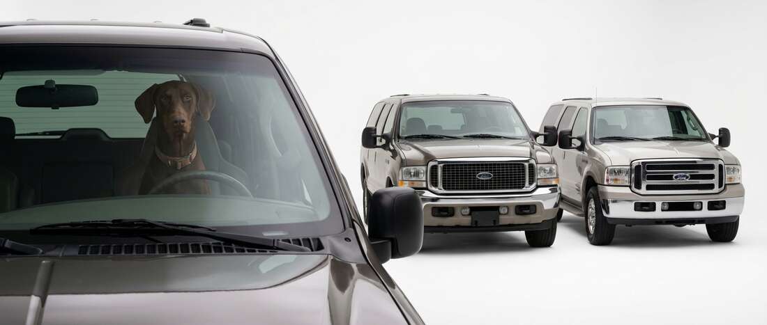 Ford Excursion Touch Up Paint