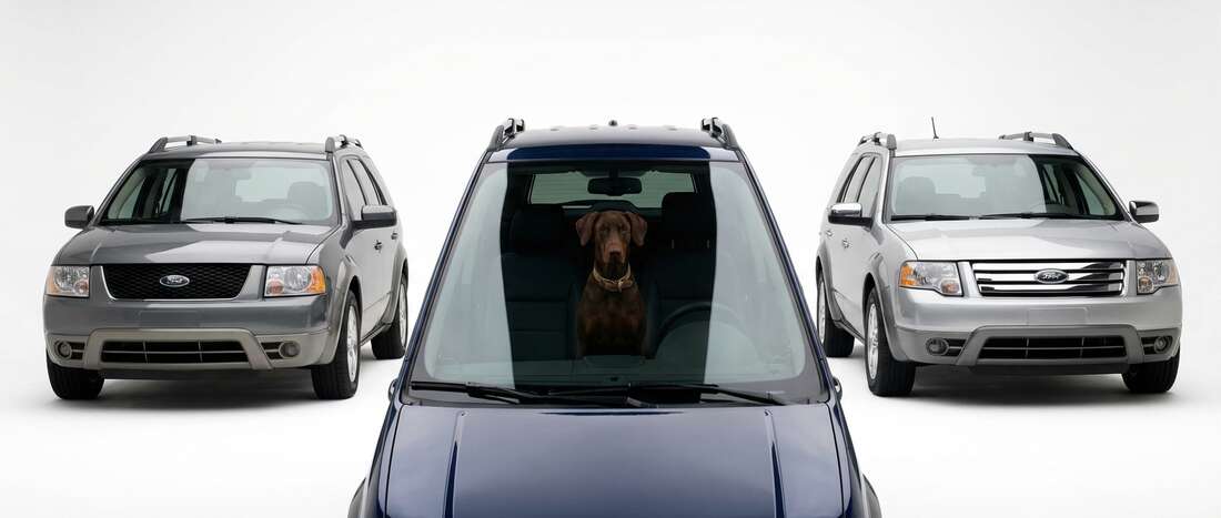 Ford Freestyle Touch Up Paint