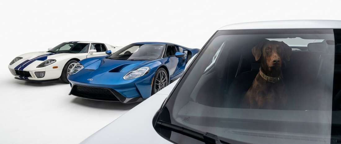 Ford GT Touch Up Paint