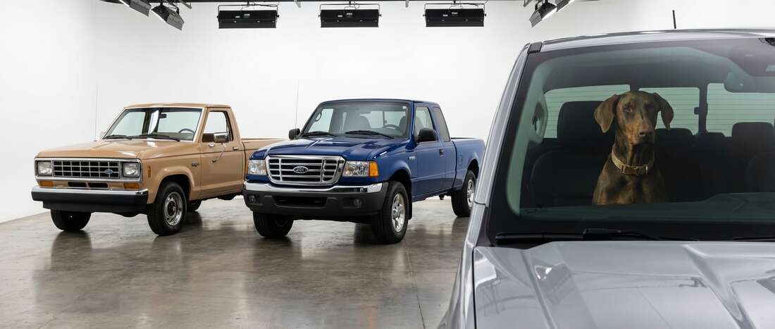 Ford Light Pickup Touch Up Paint