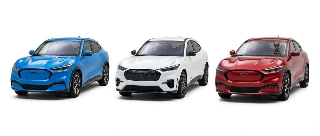 Ford Mach-E Touch Up Paint