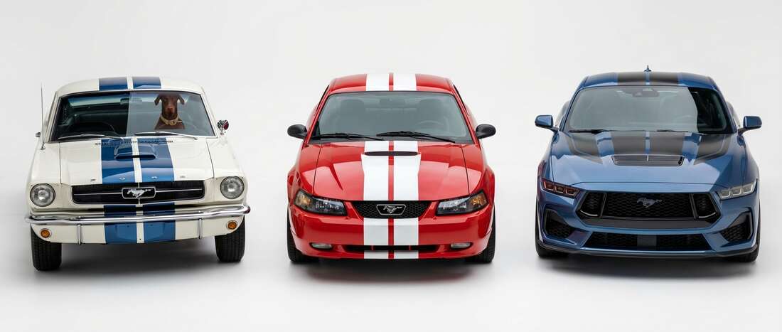 Ford Mustang Stripe Touch Up Paint