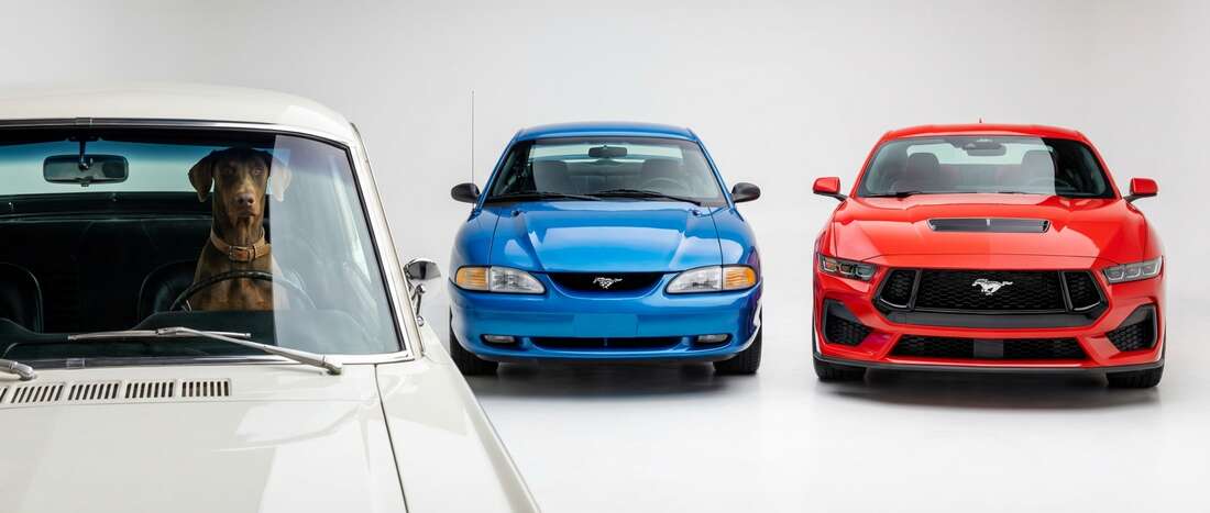 Ford Mustang Touch Up Paint