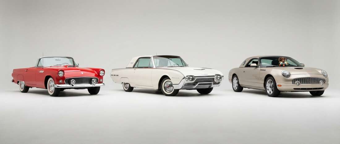 Ford T-Bird Touch Up Paint