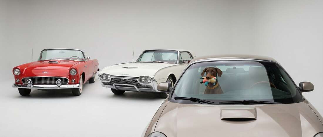 Ford Thunderbird Touch Up Paint