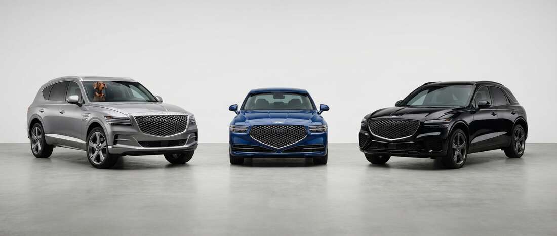 Genesis Touch Up Paint