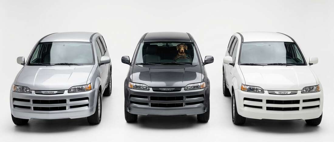 Isuzu Axiom Touch Up Paint