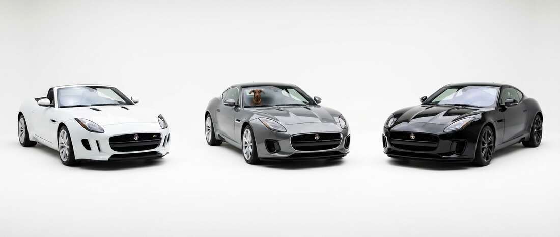 Jaguar F-Type Touch Up Paint