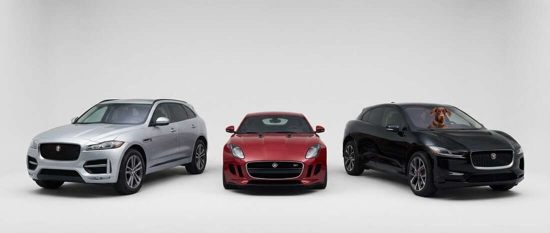 Banner image for Jaguar color code locations