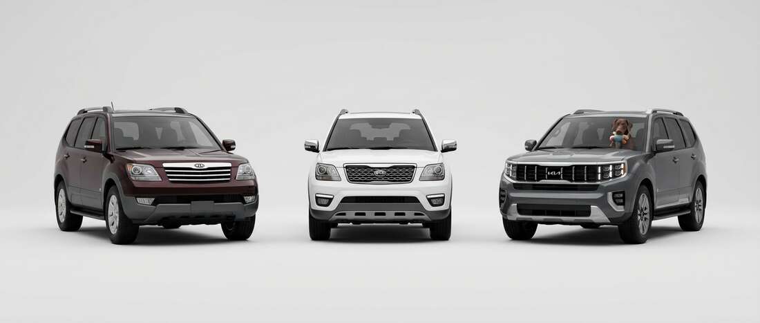 Kia Borrego Touch Up Paint