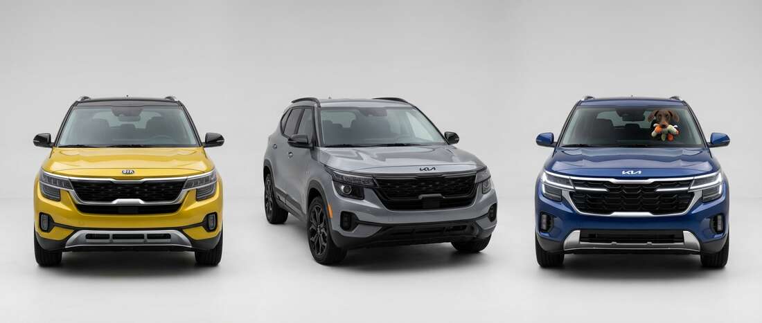 Kia Seltos Touch Up Paint