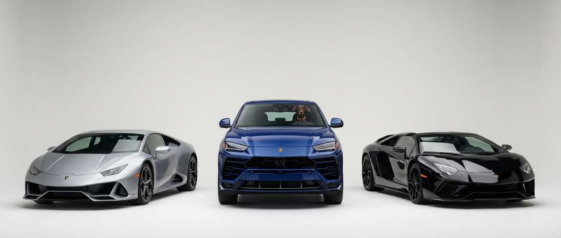 Banner image for Lamborghini color code locations