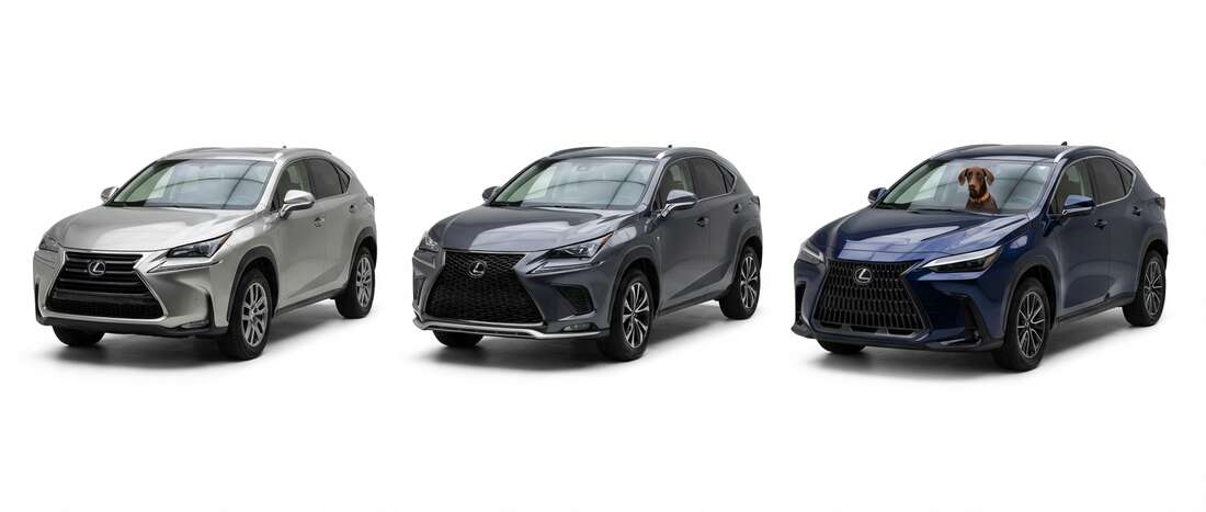 Lexus NX 250 Touch Up Paint