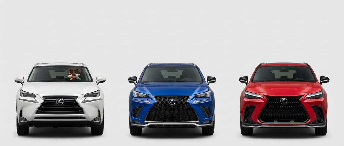 Lexus NX 300 Touch Up Paint