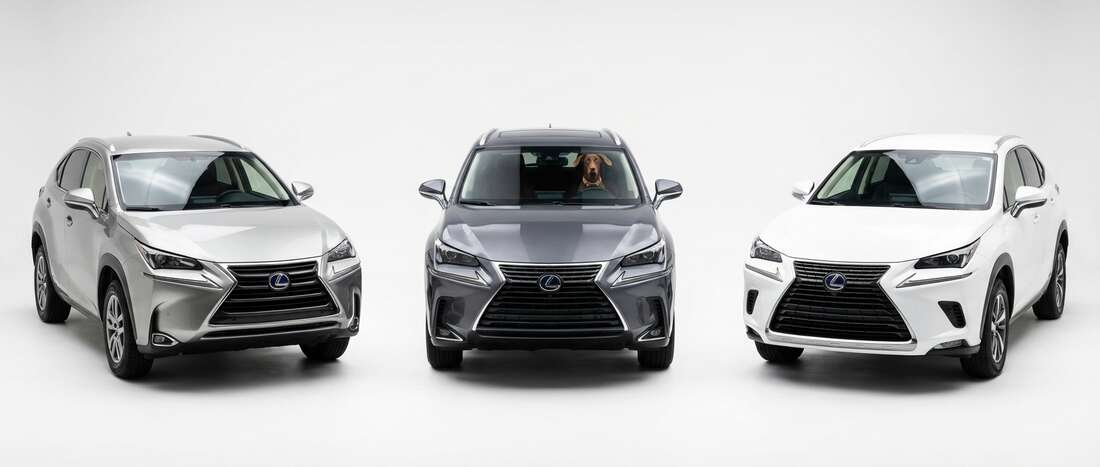 Lexus NX300h Touch Up Paint