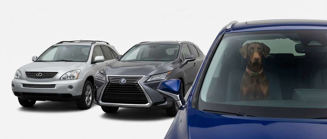 Lexus RX 350h Touch Up Paint