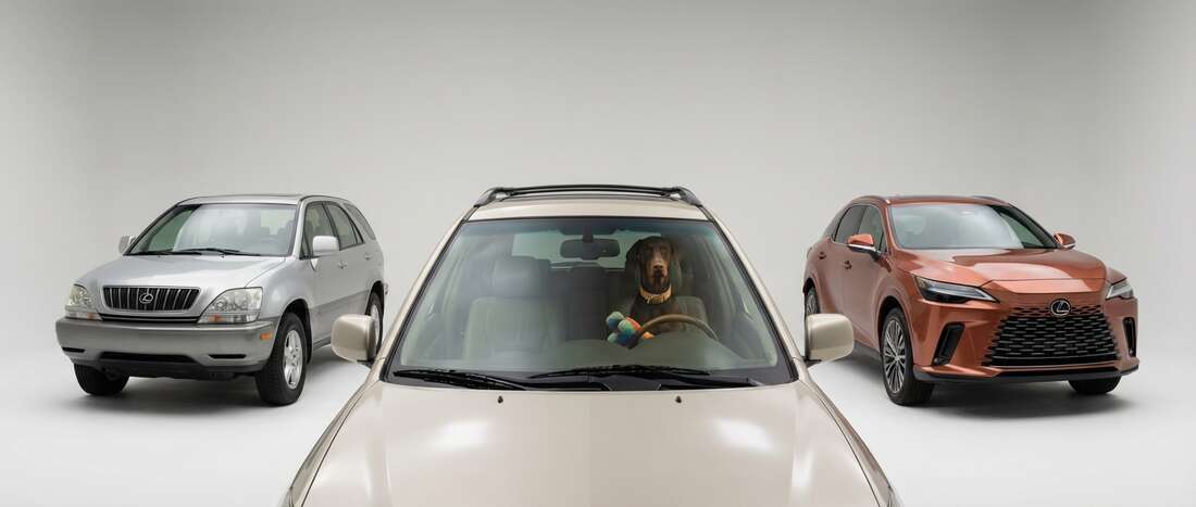 Lexus RX330 Touch Up Paint