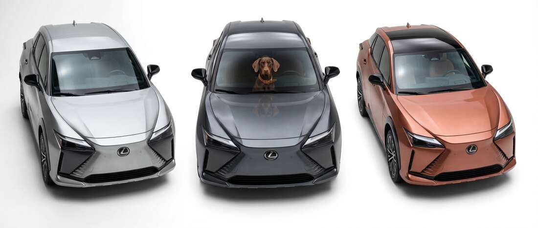 Lexus RZ 450e Touch Up Paint