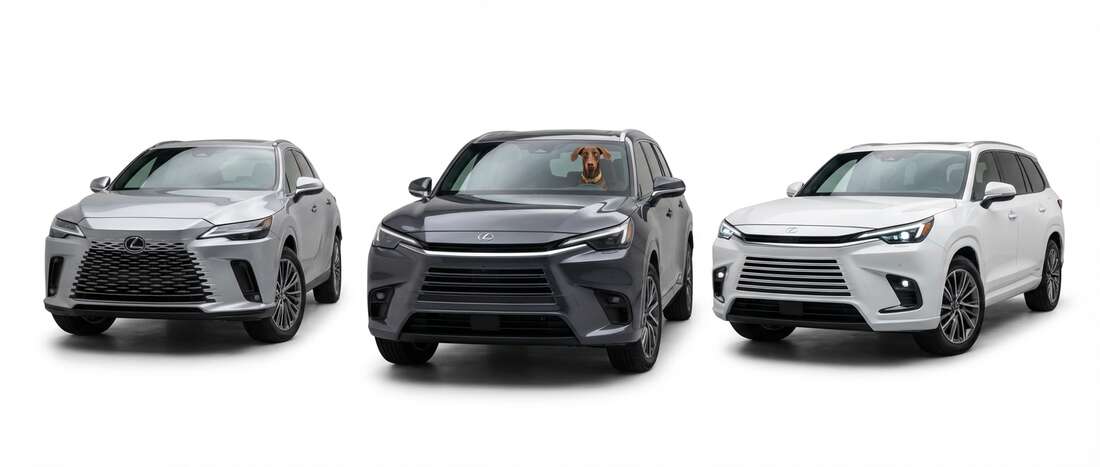 Lexus TX 550h Touch Up Paint