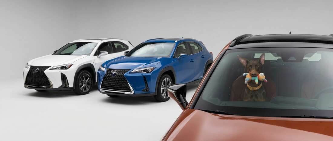 Lexus UX 300F Touch Up Paint