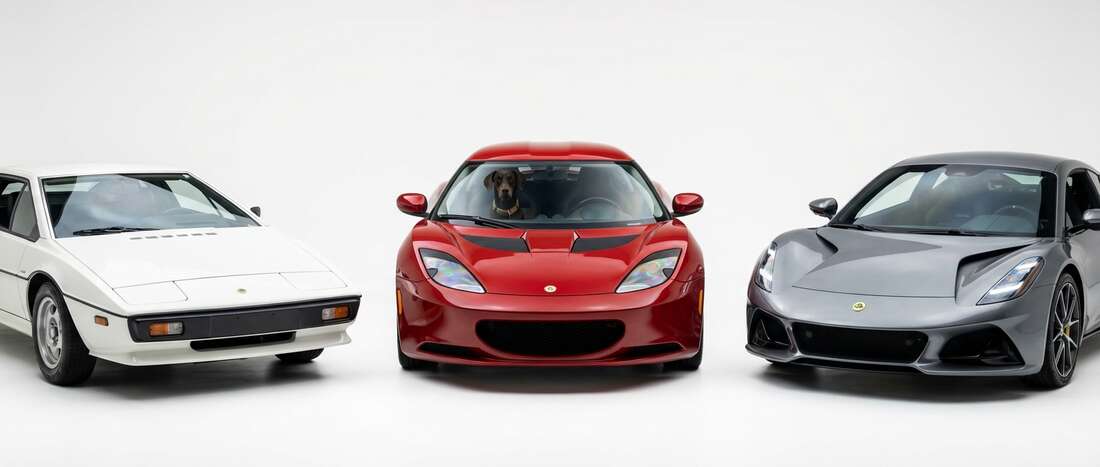 Lotus All Models Touch Up Paint