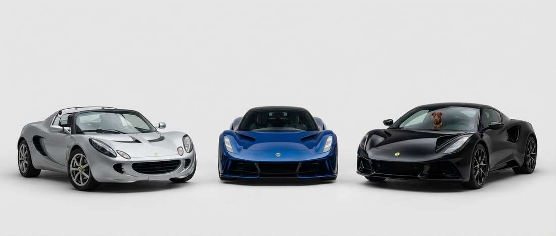 Lotus Touch Up Paint