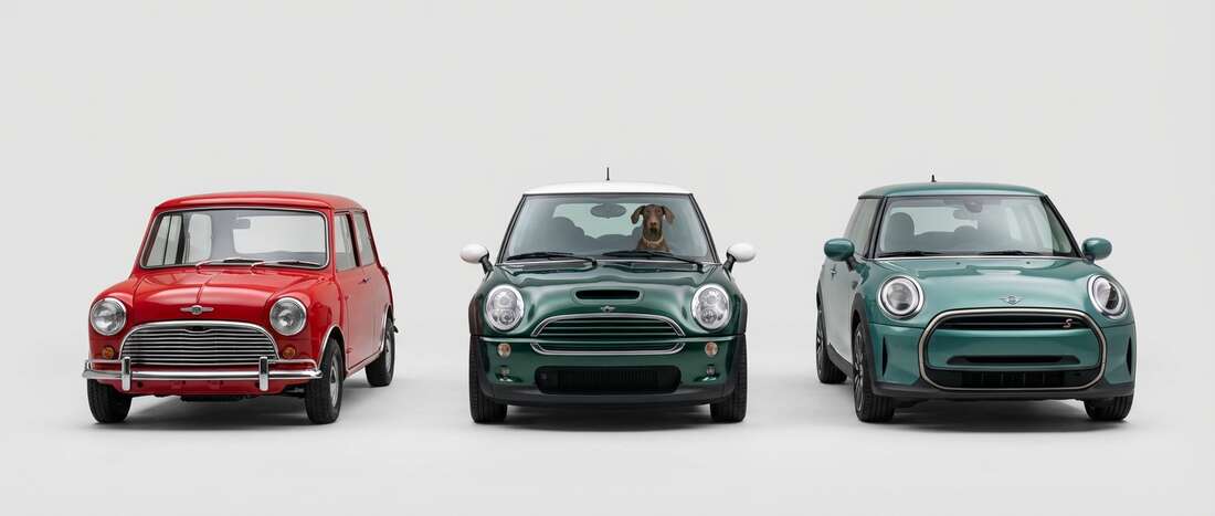 Mini All Models Touch Up Paint