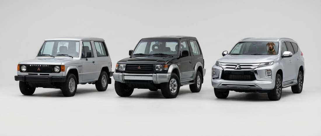 Mitsubishi Montero Touch Up Paint