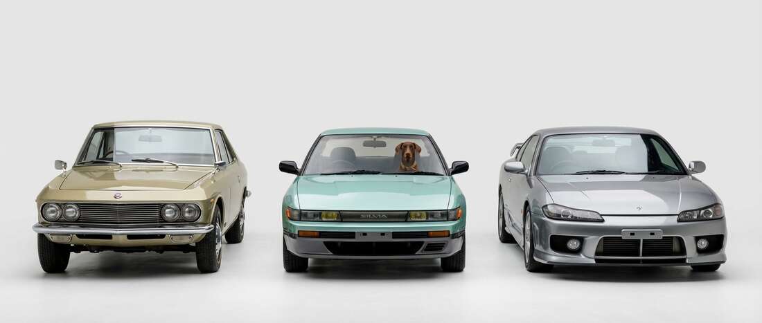 Nissan Two Tones Touch Up Paint