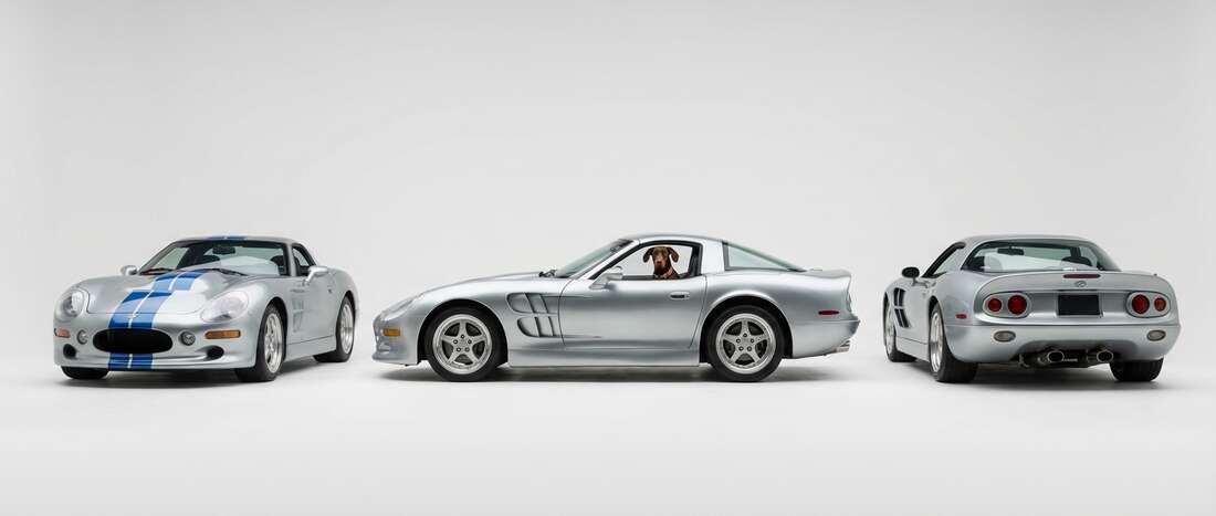 Oldsmobile Shelby Touch Up Paint